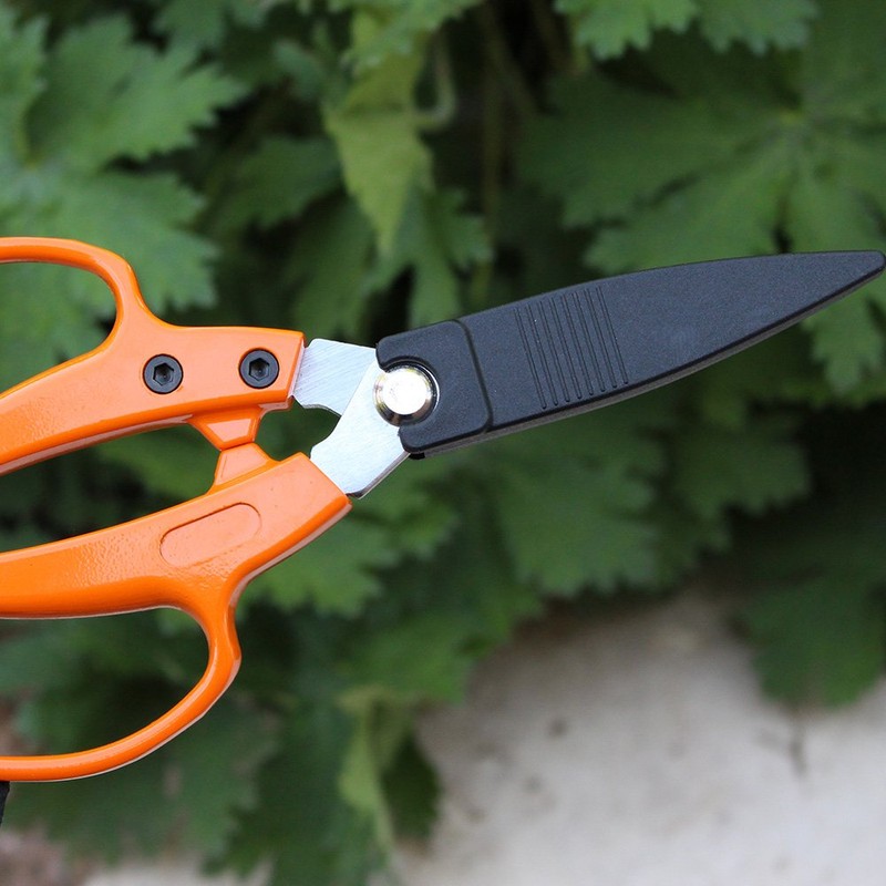 Siena Garden 313241 Garden Shears, Flower Shears, Rose Shears
