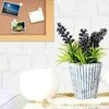 Parthan 100 Pcs White Drawing Pins, Push Tack, White Drawing