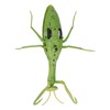 Remote Control Insects RC Animals Children Adults Trick Toys Electric