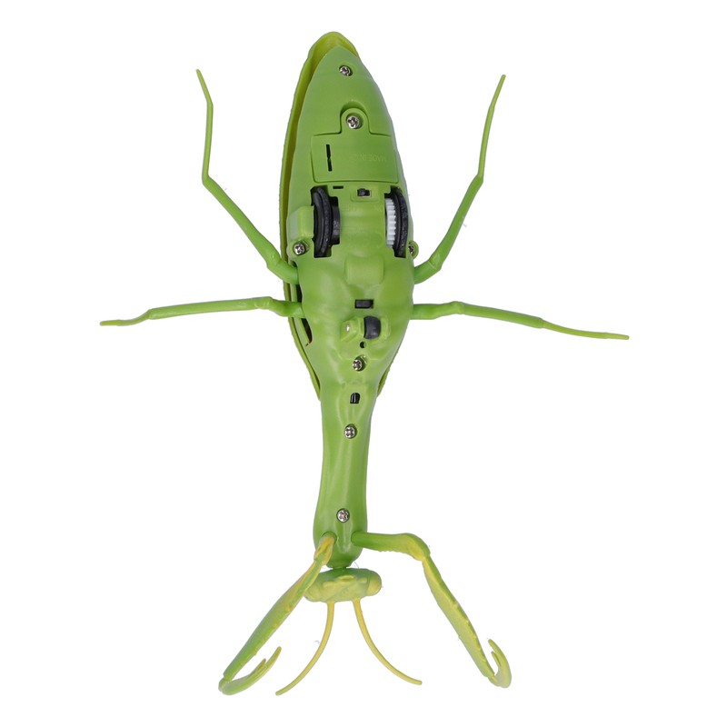 Remote Control Insects RC Animals Children Adults Trick Toys Electric