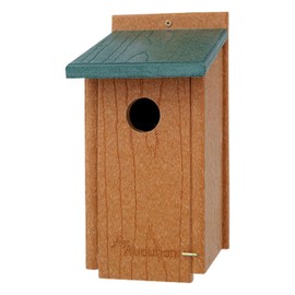 Woodlink NAGGBB Audubon Going Green Bluebird House , 12 Inch