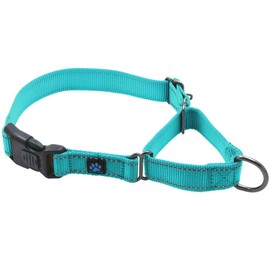 Max and Neo Nylon Martingale Collar - We Donate to a Dog Rescue for Every Collar Sold (Large, Teal)
