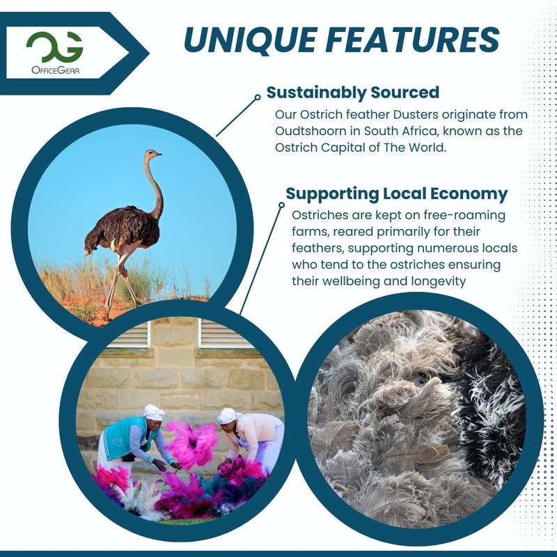OfficeGear Retractable Genuine Ostrich Feather Duster [26-36cm] - Convenient Office