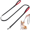 PuppyDoggy Dog Leash for Small to Medium Dogs 6 ft