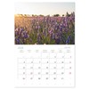 Lavender - The purple miracle flower (Monthly Wall Calendar 2025