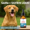 SAMEe for Dogs 500mg Liquid Drops with Silybin – Bacon