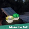 GAME 81343-BB Pool and Backyard PatioGLO Solar Succulent LED Floating