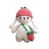 Hardicraft DIY Crochet Kit with Instructions and Material for Ilse