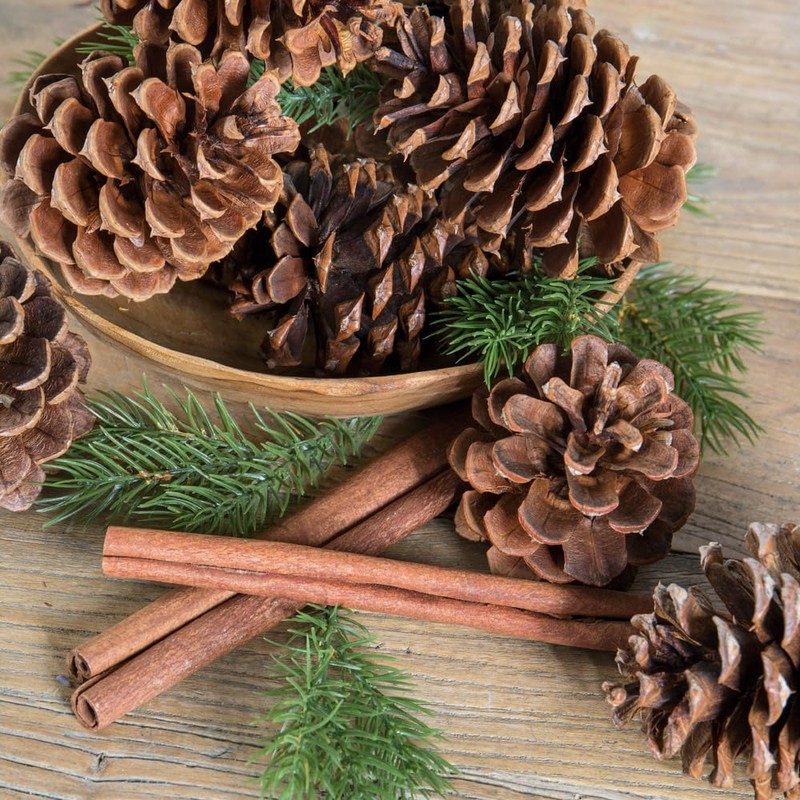 Cinnamon Scented Pinecone Bag (2-Pack)