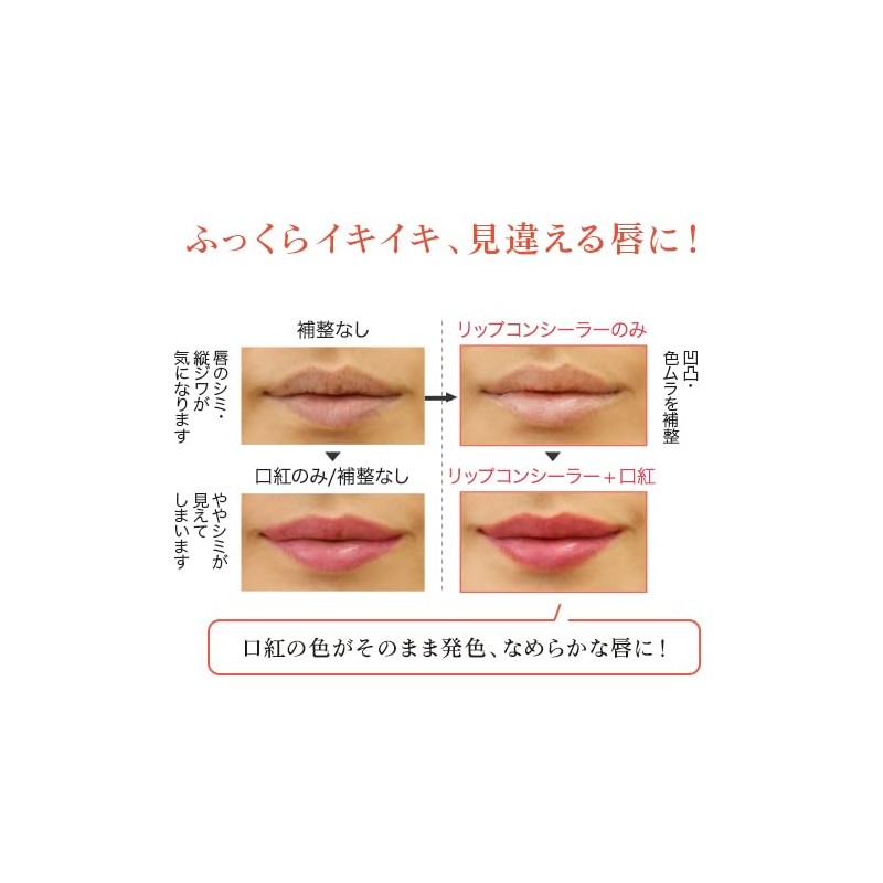 かづきれいこ パワーオブメイクアップ リップコンシーラー リップ用下地 リップベース REIKO KAZKI