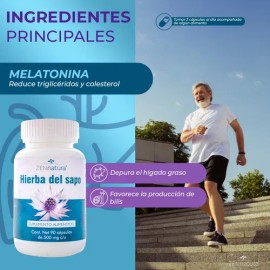 Hierba Del Sapo Diuretico, Control De Colesterol Zen Natura Sabor Sin sabor