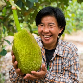 Jackfruit by fairtrade ORIGINAL | Jackfruit Meat Substitute | Vegan Meat | Jackfruit in Tin | Fair Trade Jackfruit | Young Jackfruit in Pieces (1 Tin (550g))