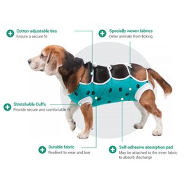 E-Collar Alternative for Cats and Dogs: After Surgey Wear. Recommended by Vets (Medium-Large, Lime Green)