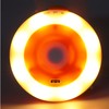 Motion Sensor Night Light Coccinella Septempunctata LED Night Light for