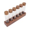 Coffee Bean Storage Tubes with Walnut Wood Stand Lid Glass