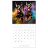 Dynamic Duo - Two Paws, One Leap (Wall Calendar 2025