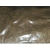 Fredsfish 10 grams Stinging Nettle Seeds (Urtica Dioica) From USA