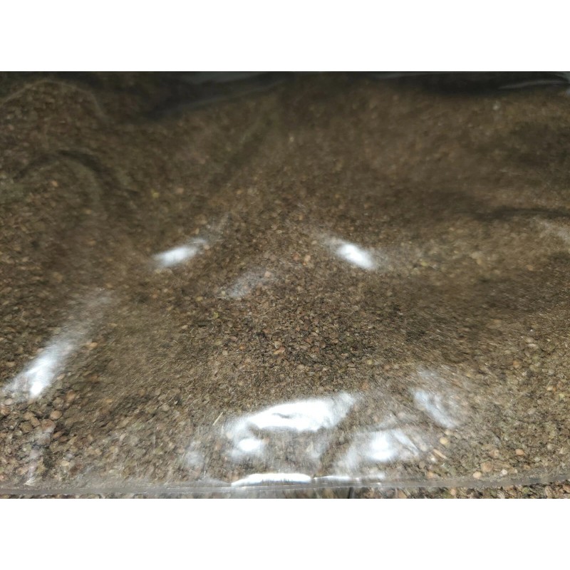 Fredsfish 10 grams Stinging Nettle Seeds (Urtica Dioica) From USA