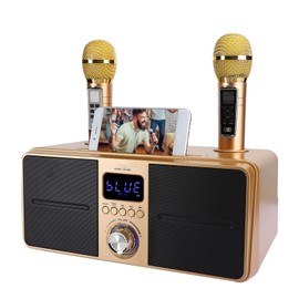 Karaoke Machine, Portable Audio Card Bluetooth Karaoke Speaker Family KTV Kit with 2 Microphones, for Family Home Party (Gold)