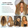 Human Braiding Hair for Boho Braids 100g 24 Inch Curly