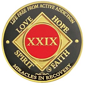 NA 29 Year Recovery Medallion, Narcotics Anonymous Clean Time Metal Coin, NA Recovery Chip (Red, Gold Plated)
