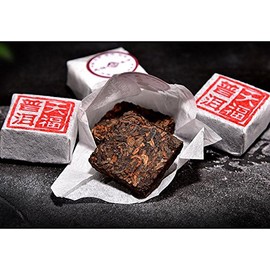Tenfu's TEA Puerh Mini Tea Brick Gift Set 486g 17.1oz