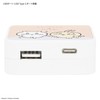 Gourmandies Chiikawa CK-21B USB to USB Type-C AC Adapter Chiikawa