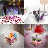 BELLE VOUS 5 Sided Clear Acrylic Cube Display Box with