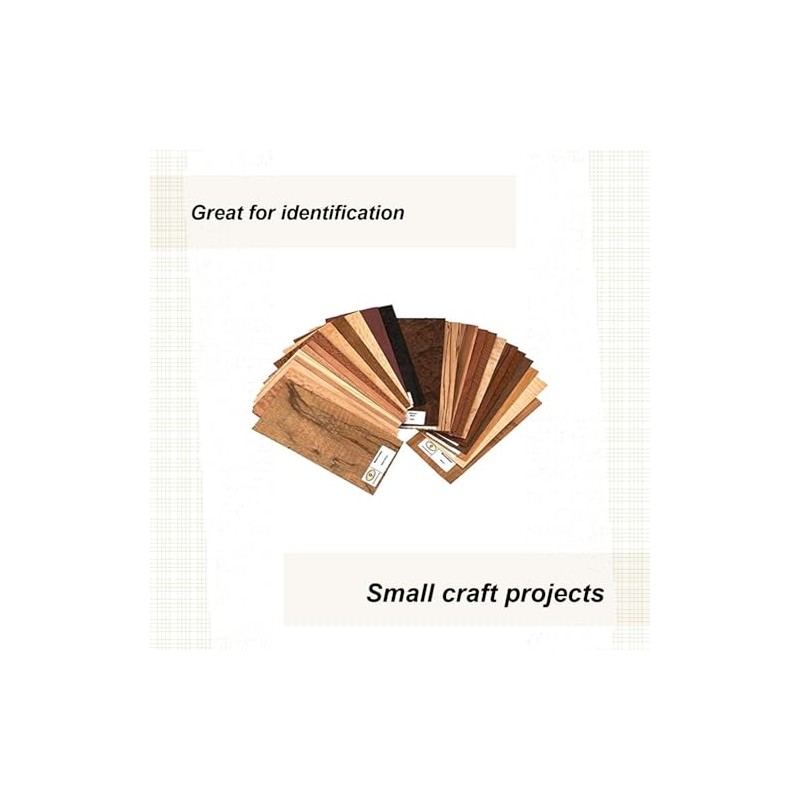 Sauers Exotic Species Wood Identification Kit & Wood Veneer Sample