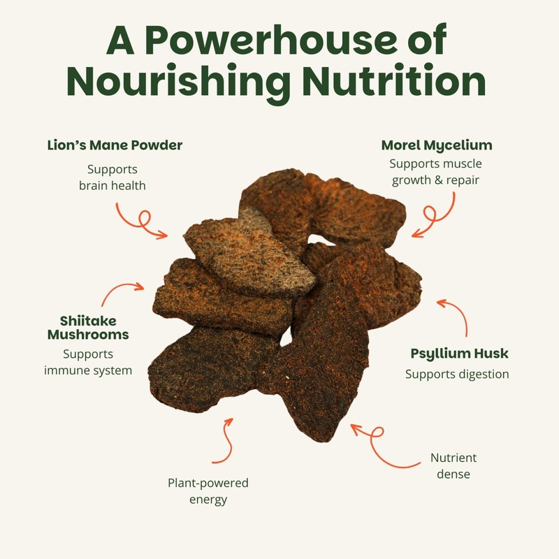 Mourish Mushroom Jerky, Healthy and Flavorful Vegan Jerky, SICHUAN Peppercorn