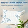 OMEO 2 Pack King Size Rayon Derived from Bamboo Pillow