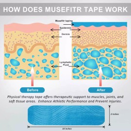 MUSEFITR Cinta De Kinesiologia Precortada Paquete De 2 Rollos Cinta De Kinesiologia