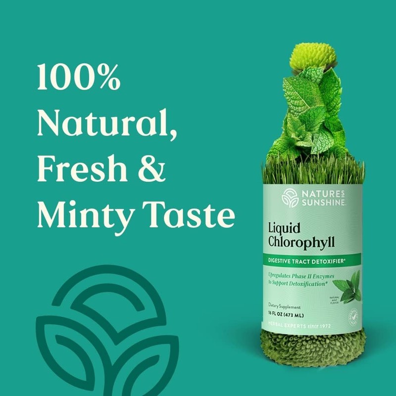 Nature's Sunshine Liquid Chlorophyll - Immunity Support, Detox & Cleanse,