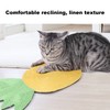Ananas Cat Scratch Pad Wear Resistant Recyclable Prevent Slipping Cat