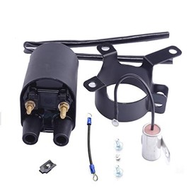 Dosens 166-0772 Ignition Coil Compatible for Onan Points Models BF B43 B48 NHC CCK Onan P218G P220G P224G Replaces 166-0820 HE541-0522 166-0804 166-0648 He166-0761