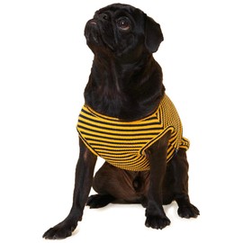 Little Beast Dog Clothes- Dog Clothes for Large,Medium and for Small Dogs (Shirts Come in Multiple Colors and Styles) - Size: X-Small Dogs, Black/Yellow