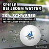 JOOLA 42183 Table Tennis Balls Outdoor 40+ mm Table Tennis