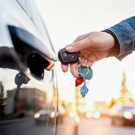 VNEWSCHI Ice Fire Keychain Cartoon Doll Keyring Blue and Red Key Chain Game Character Key Ring Car Keys Enamel Metal Keychain Pendant for Handbag Charms Gift