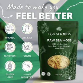 Natural Sea Moss RAW – 100% Wildcrafted Irish Sea Moss | Organic & Vegan Superfood