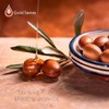 Moroccan Gold Series Treatment Mask (for dry & damaged hair)