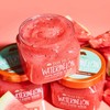 Tree Hut Sugar Scrub 510g