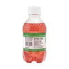 Boylan Bottling MASH Great Tasting Watermelon Lemon Lime – Lightly