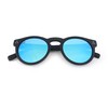Tarifa Round Sunglasses with Polarized Mirrored Lenses (Black Matte &