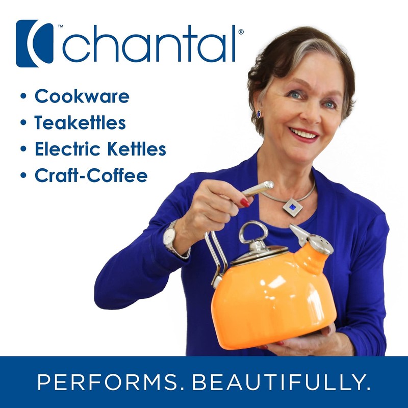 Chantal Nonstick 8 inch Stripes Fry pan, Brushed Stainless Steel,