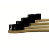 Biodegradable Eco-Friendly Charcoal Infused Bristle Bamboo Toothbrush - Pack of
