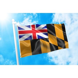 DMSE Calvert Maryland US Colonial Historical Kings Colors Flag 3X5 Ft Foot 100% Polyester 100D Flag UV Resistant (3' X 5' Ft Foot)