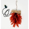More Than Christmas 35 Lights Chile Pepper Lighted Rista -