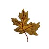 ID 7167 Dried Maple Leaf Patch Tree Fall Autumn Embroidered