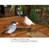 Birdie Bill Realistic Bird Hard Type Toy Doll Figure (Cockatiel)