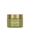 Origins Plantscriptionâ"¢ SPF 25 Power Anti-Aging Cream